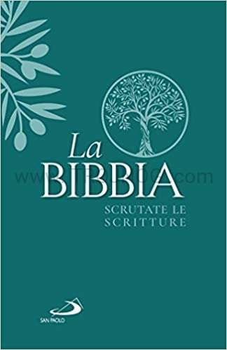 La BIBBIA scrutate le scritture miekka okładka.jpg