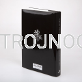 carmen 2.png