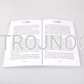 jan maria vianney 2.png