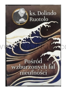 Pośród wzburzonych fal nieufności, ks. Dolindo
