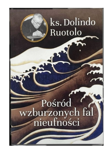 posrod wzburzonych fal nieufnosci, ks. Dolindo.jpg