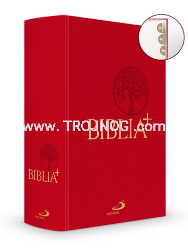 44e5fa70-7be1-41f2-b38b-e32d34fba310_2025-12-05_15_31_43.png