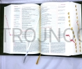 Bibelhülle, „Biblia Plus“, Aufschrift „Scrutate le Scritture“, Farbe: Grün, aus Leder gefertigt, mit Druckknopfverschluss, innen weich gepolstert, verstärkte Ausführung, Schutzhülle, mit vergoldeten Schriftzügen, ästhetische und elegante Hülle