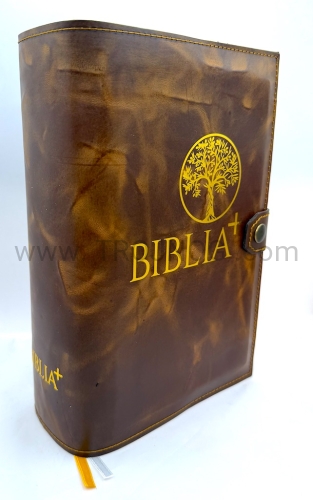 okładka na biblie, biblia plus, scrutate le scritture, kolor brązowy, wykonany ze skóry, zamykany na zatrzask, wewnątrz miękkie wypełnienie, etui wzmocnione, futerał ochronny, z pozłacanymi napisami, estetyczna, elegancka okładka